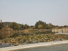 -云龙湖旅游景区