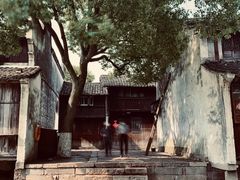 -乌镇西栅景区