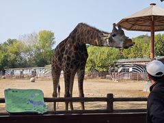 -大连森林动物园