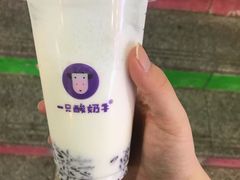 -一只酸奶牛(八一路店)