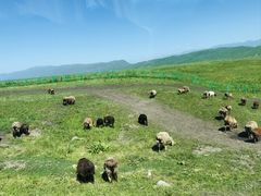 -新疆那拉提国家旅游度假区