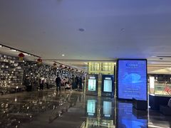 -武商摩尔影城(国广IMAX激光店)