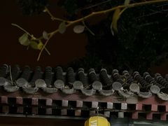 -Sirena海妖日咖夜酒