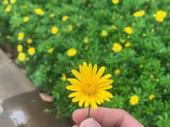 -沙县小吃(果林金谷店)