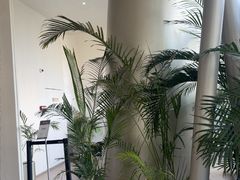 -YCHL FIT 健身(星寰店)