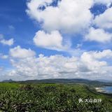 朝花夕拾|台湾禅修/旅行/生活碎片