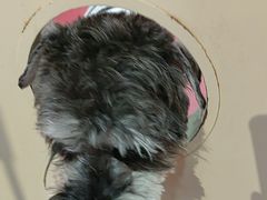-和它·交个朋友·狗咖猫咖(爱琴海店)