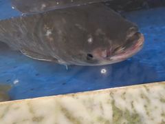 -香山湖渔家大院