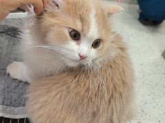 -瑞派康怡24h宠物医院·犬猫医疗中心·微创绝育(瑞景分院)