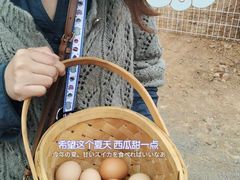 -大连北马山庄