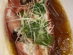 -顺轩海鲜火锅酒家