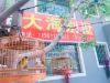 -大海别墅民宿农家院(十渡店)
