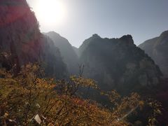 -青龙山生态文化旅游区(慈云寺)