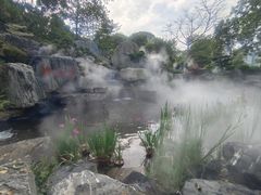 -东莞植物园