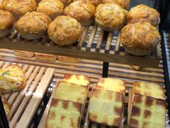 -卡吉诺动物奶油生日蛋糕(东明路店)