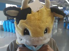 -迪卡侬(顺峰山店)