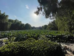 -莲池书院博物馆