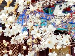 -护国法轮寺