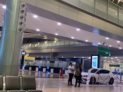 -西沃古尔·拉姆古兰爵士国际机场