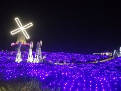 -大塘金香草谷
