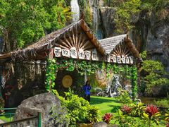 -西双版纳原始森林公园