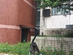 -复旦大学光华楼