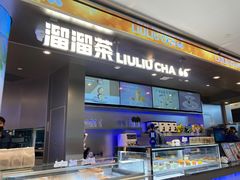 -TD66高山铁皮石斛养生茶饮