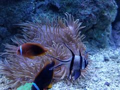 -成都浩海立方海洋公园