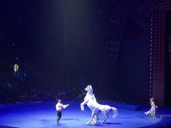 -珠海横琴长隆《卡卡虎奇遇记》