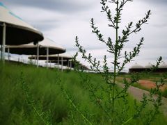 -敕勒川草原文化旅游区