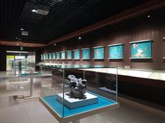 -青岛贝壳博物馆