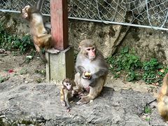 -黔灵山公园