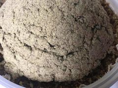 -御灸堂古法艾灸(东坝店)