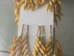 铁军鲜羊肉汤-铁军鲜羊肉汤