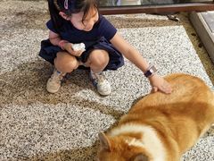 -肥朵食堂(带梦胡同店)