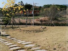 -天适樱花悠乐园