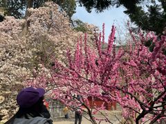 -潭柘寺景区
