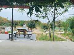 -小鱼草莓采摘园农家乐·小鱼餐厅