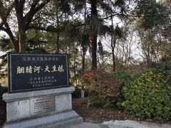 -天生桥景区