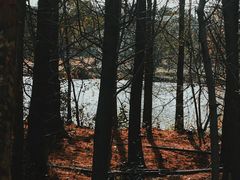 -上海海湾国家森林公园