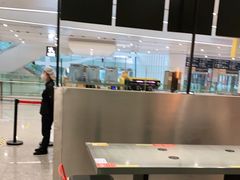 -麦当劳(北京大兴机场二层国内到达(安检外)店)