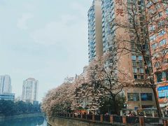 -成都市活水公园