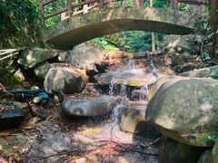 -火炉山森林公园