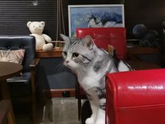 -咖法森林·咖啡  酒吧(天河店)