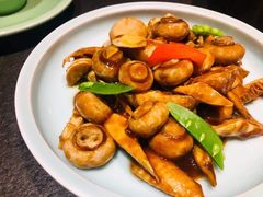 -北平盛世·新京菜·北京烤鸭(劲松·双井店)