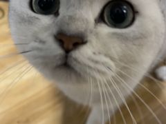 -Apple零售店(成都太古里店)