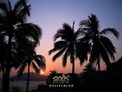 -日落吧·海景咖啡厅·餐酒吧·鸡尾酒·下午茶·乐队表演·浪漫夕阳·三亚文华东方酒店
