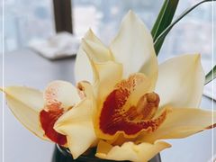 -广州柏悦酒店·悦景轩·粤菜餐厅