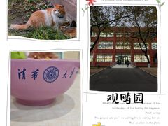 -清华大学-观畴园餐厅