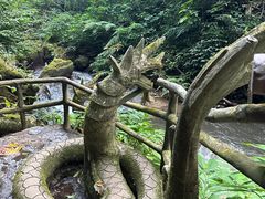 -莫里热带雨林景区